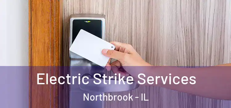  Electric Strike Services Northbrook - IL