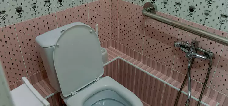 Meeting Diverse Needs With Accessible Restroom Solutions in Northbrook, IL